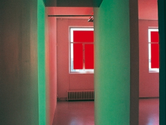 Zwei rote Fenster